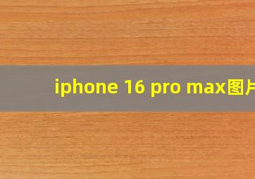 iphone 16 pro max图片